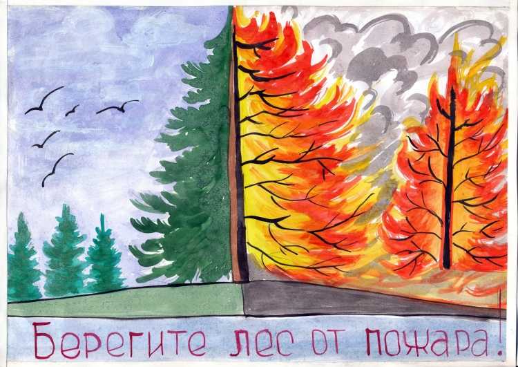 Рисунок на тему береги лес от пожара