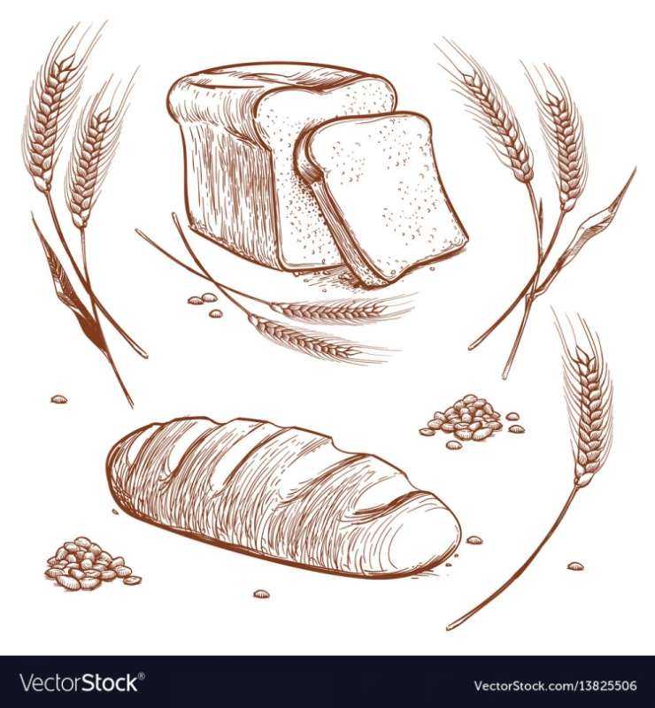 Рисование на тему хлебобулочные изделия