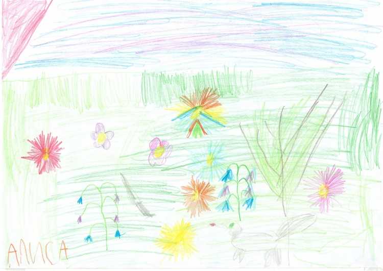 Детские рисунки на летнюю тематику