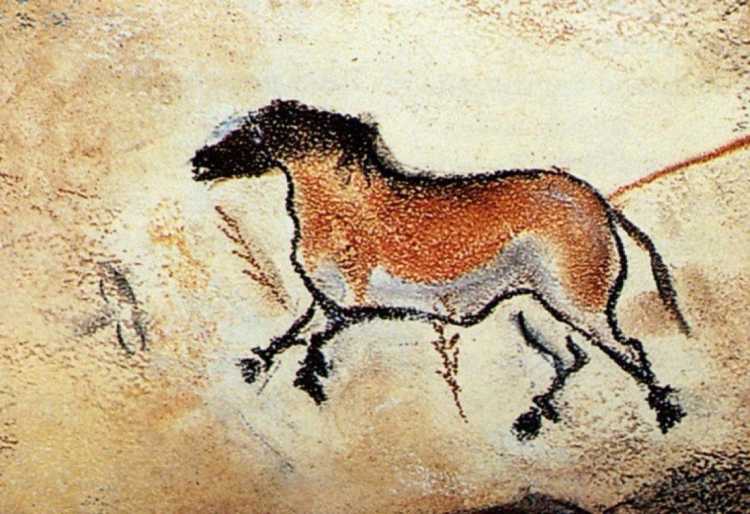 Лошадь Пржевальского пещера Ласко