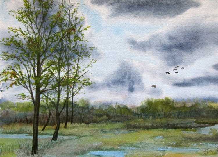 Весенний пейзаж с птицами