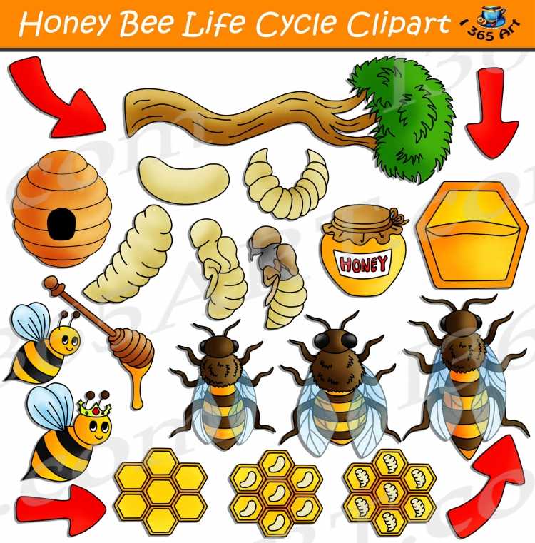 Рисунок на тему Пчеловодство36