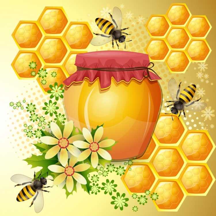Пчелы живопись