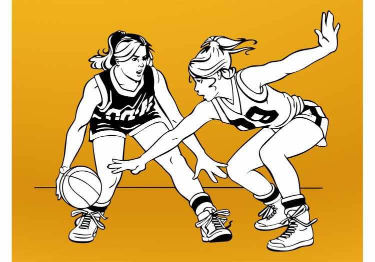 Женский баскетбол рисунок