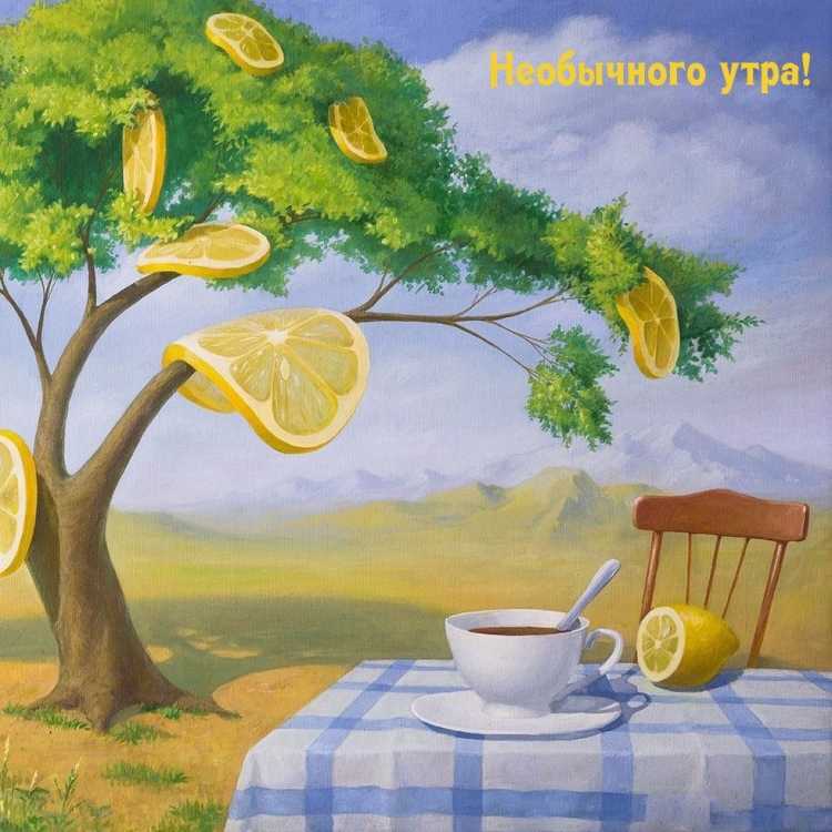 Лимоновый сад Виталий Уржумов