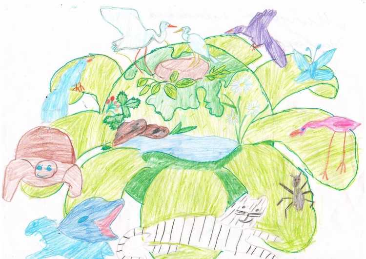 Растительный мир нашей планеты дошкольники 6- 7 лет
