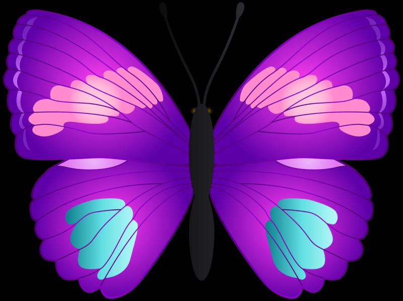 Сиреневые бабочки