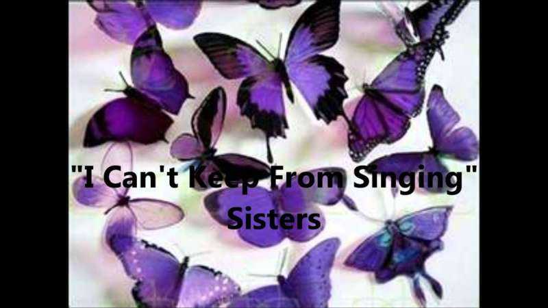 Красивые фиолетовые бабочки