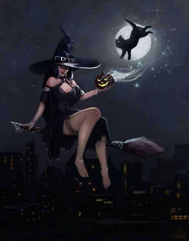 Красивая ведьма на метле