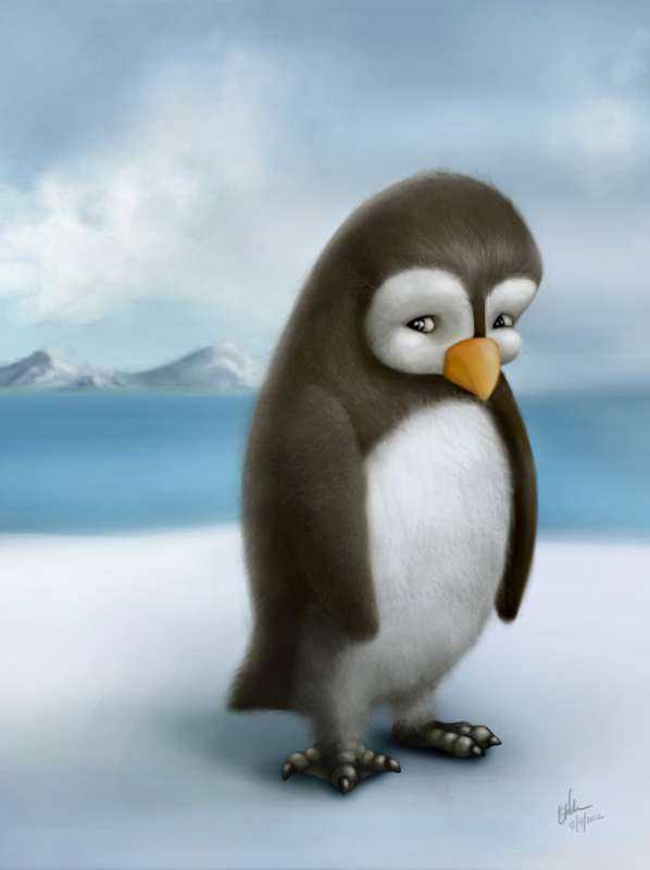 Животные Антарктиды пингвины Королевские