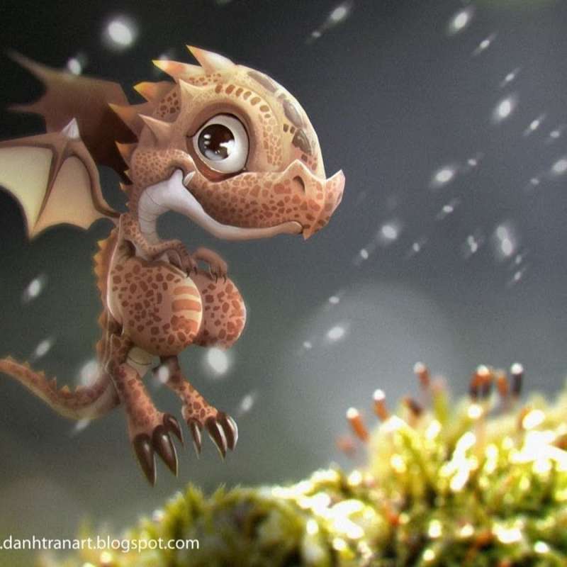 Маленький дракон