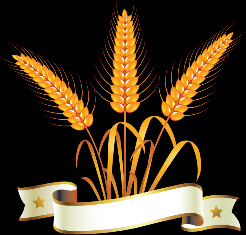 Колосок логотип