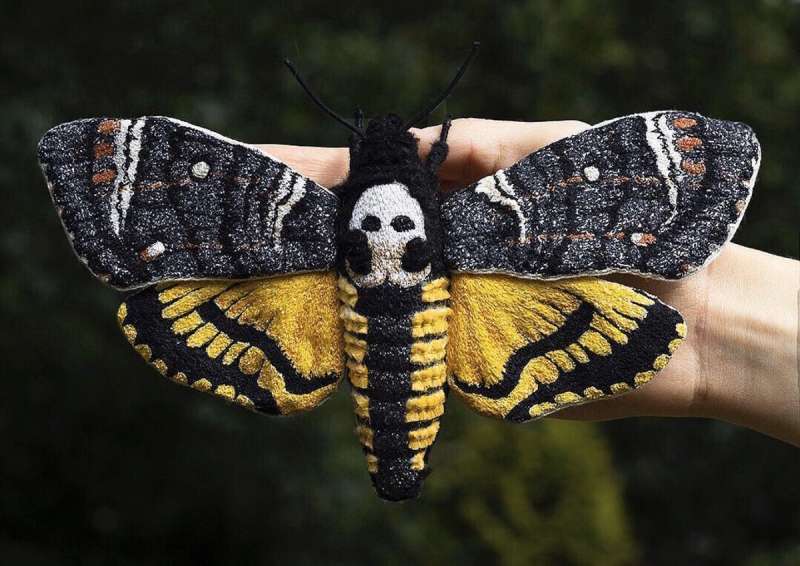 Emily Yeadon бабочки