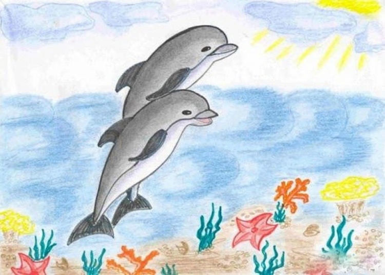 Детские рисунки дельфинов