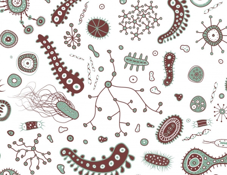 Бактерии на белом фоне