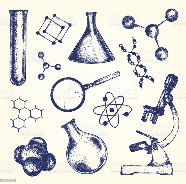 Биология химия предметы