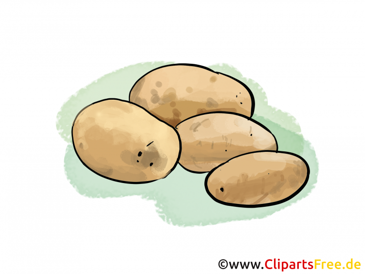 Нарисовать картофель для детей